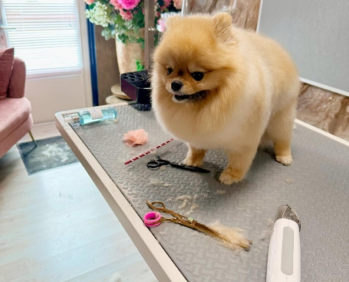 492041835_713942127961904_317819345430264015_n