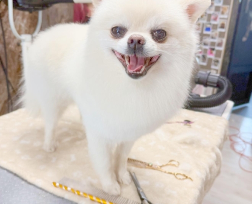 500079052_738897138799736_4972013358876439607_n