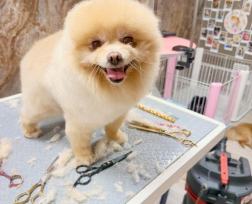 503465887_744344398255010_3732271833081796427_n