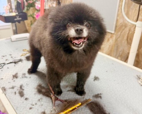 503467163_744344944921622_6021587229579647040_n