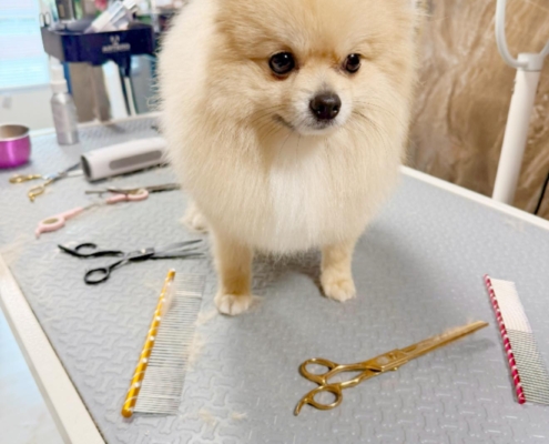 505370061_749560104400106_3320882690365524583_n