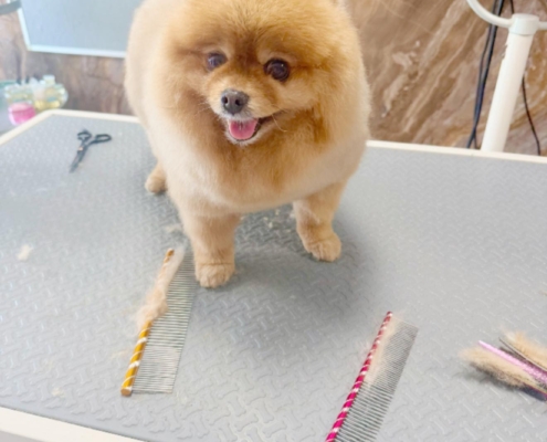 505880715_751756067513843_1915814190478000918_n