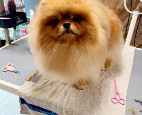 506524428_753502414005875_6160570765957363875_n